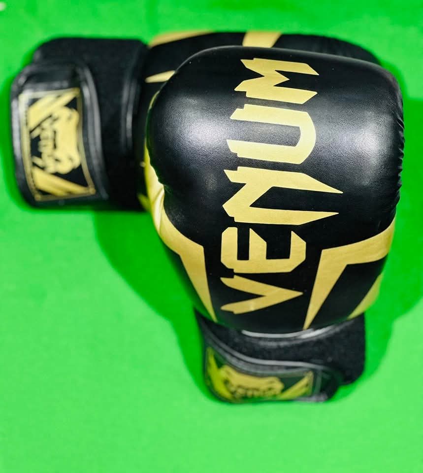 Gants Boxing Venum🥊
